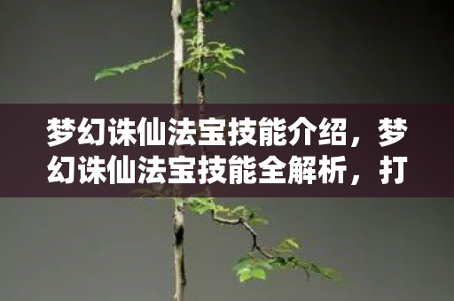 梦幻诛仙法宝技能全解析图片