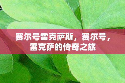 雷克萨的传奇之旅图片