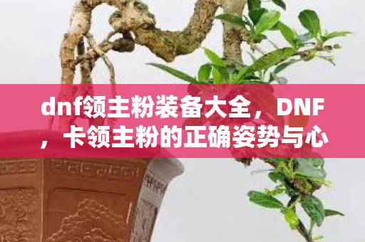 卡领主粉的正确姿势与心得分享图片