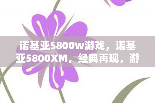 诺基亚5800w游戏图片