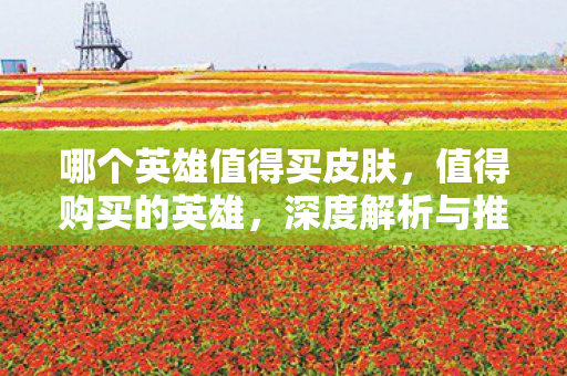 哪个英雄值得买皮肤图片