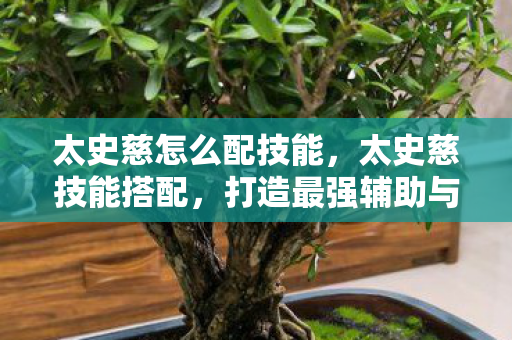 打造最强辅助与输出图片