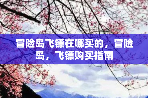 冒险岛飞镖在哪买的图片