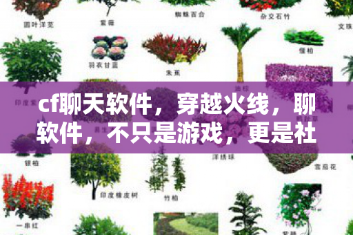 更是社交的桥梁图片