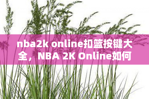 nba2k online扣篮按键大全，NBA 2K Online如何轻松实现扣篮—新手入门指南