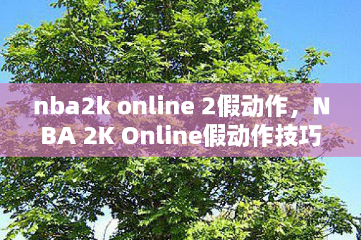 NBA 2K Online假动作技巧解析图片