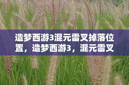 造梦西游3混元雷叉掉落位置图片