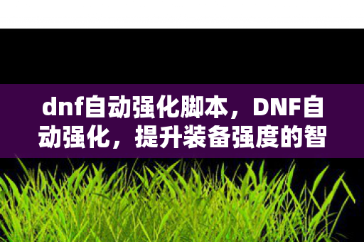 提升装备强度的智能选择图片