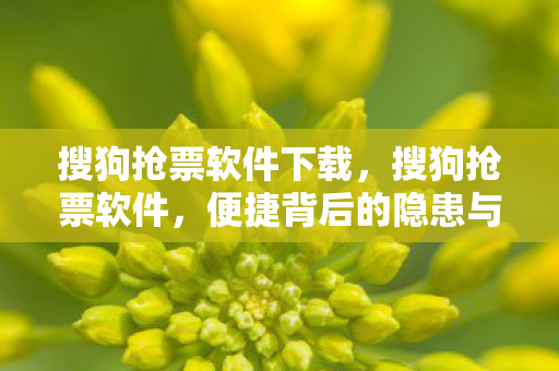 便捷背后的隐患与反思图片