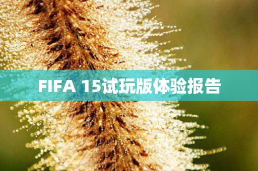 FIFA 15试玩版体验报告