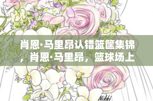 肖恩·马里昂认错篮筐集锦，肖恩·马里昂，篮球场上的坚韧战士与人生赢家