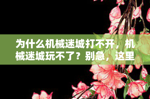 为什么机械迷城打不开图片