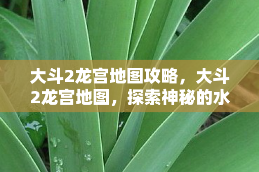 大斗2龙宫地图攻略图片