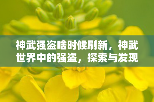 神武强盗啥时候刷新图片