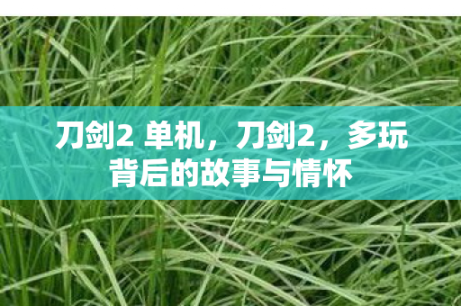 多玩背后的故事与情怀图片