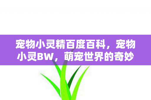 宠物小灵精百度百科图片