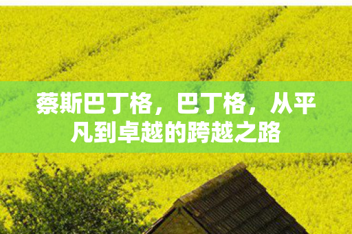 蔡斯巴丁格，巴丁格，从平凡到卓越的跨越之路