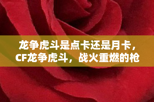 龙争虎斗是点卡还是月卡图片