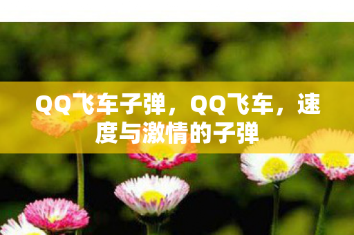 速度与激情的子弹图片