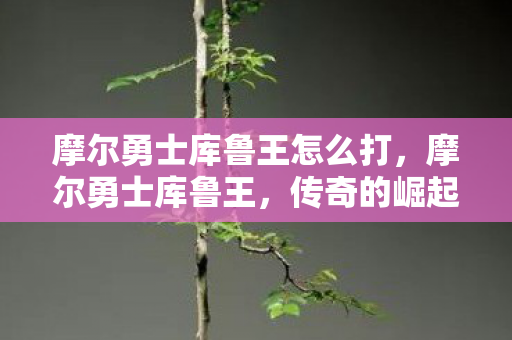 摩尔勇士库鲁王怎么打，摩尔勇士库鲁王，传奇的崛起与荣耀