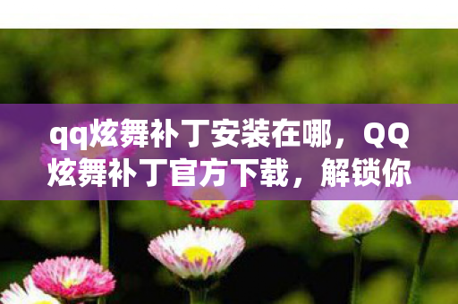 qq炫舞补丁安装在哪图片