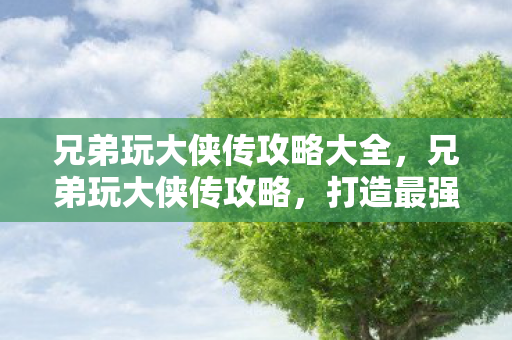 兄弟玩大侠传攻略大全图片