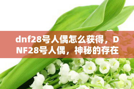 dnf28号人偶怎么获得图片