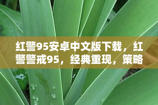 红警95安卓中文版下载图片