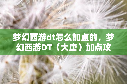 梦幻西游dt怎么加点的图片