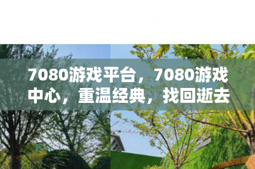 7080游戏平台图片