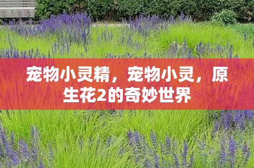 原生花2的奇妙世界图片