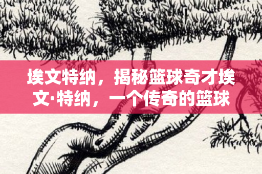 埃文特纳，揭秘篮球奇才埃文·特纳，一个传奇的篮球人生