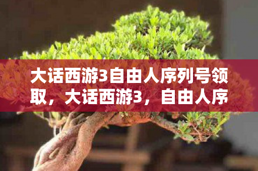 大话西游3自由人序列号领取图片