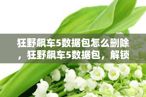 狂野飙车5数据包怎么删除图片