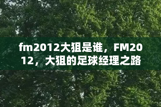 fm2012大狙是谁图片