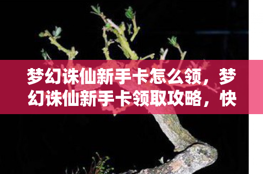 梦幻诛仙新手卡领取攻略图片