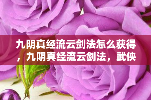 九阴真经流云剑法怎么获得图片