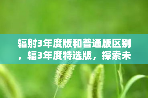 辐射3年度版和普通版区别图片