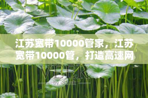 江苏宽带10000管家图片