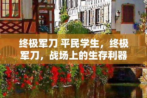 终极军刀 平民学生图片