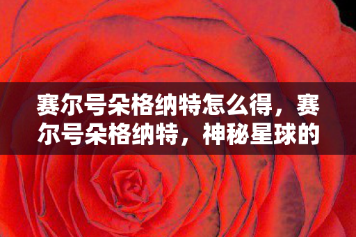 赛尔号朵格纳特怎么得图片