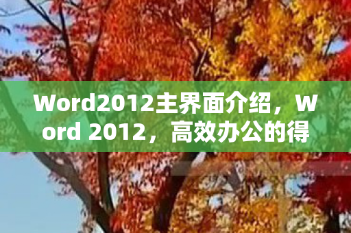 Word2012主界面介绍图片
