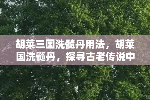 探寻古老传说中的神秘丹药图片