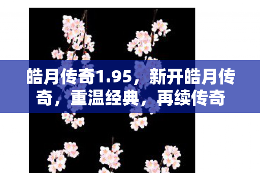 新开皓月传奇图片