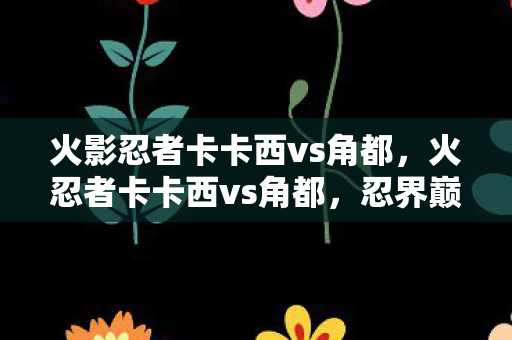 火影忍者卡卡西vs角都图片