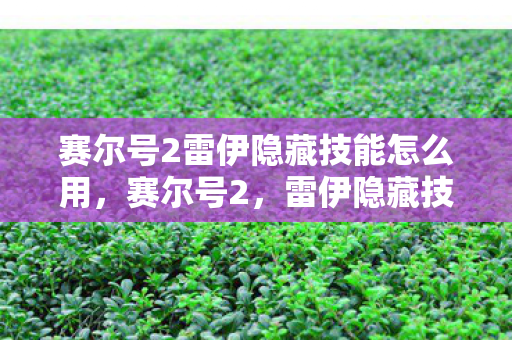 赛尔号2雷伊隐藏技能怎么用图片