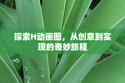 从创意到实现的奇妙旅程图片