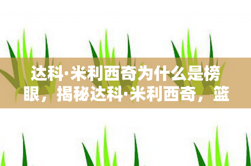 达科·米利西奇为什么是榜眼，揭秘达科·米利西奇，篮球世界的传奇之星