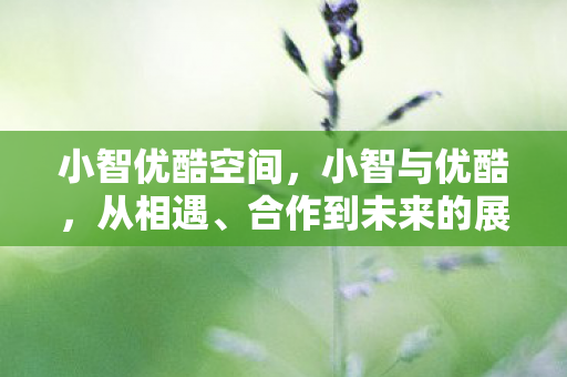 合作到未来的展望图片