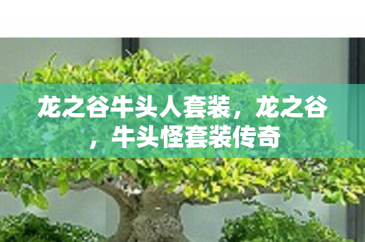 龙之谷牛头人套装图片